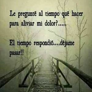 Meet your Posher, Bryant